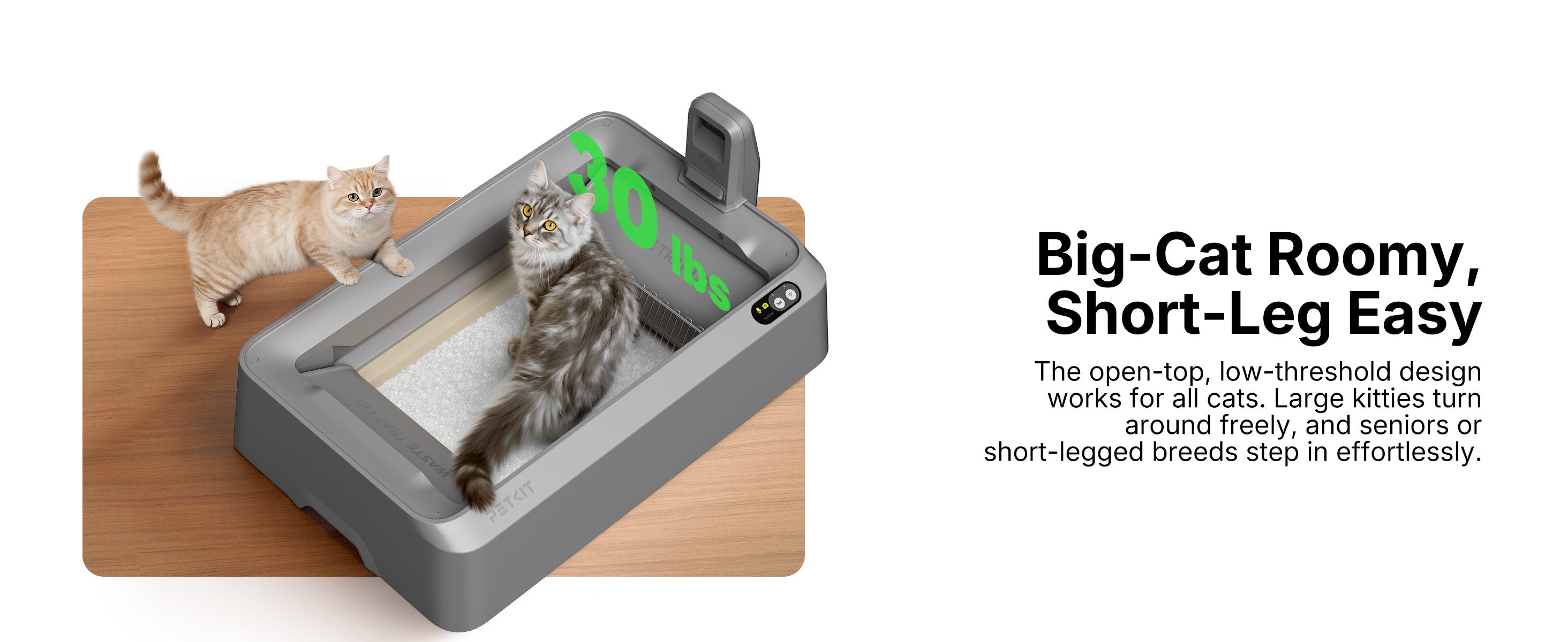 Highlighting the 'Big-Cat Roomy, Short-Leg Easy' design of the Purobot Crystal Duo, featuring an open-top, low-threshold construction that accommodates cats up to 30 lbs and senior/short-legged breeds.