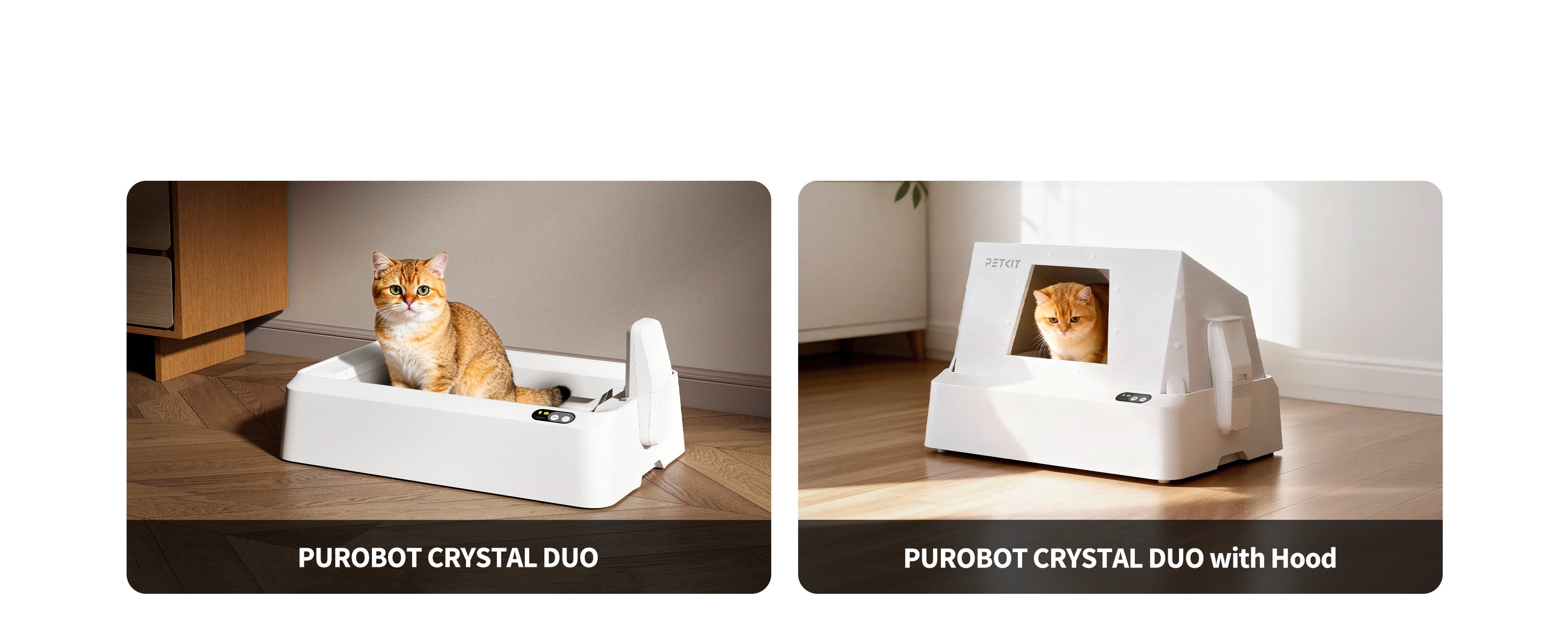 Purobot Crystal Duo is available in open-top or hooded versions, allowing users to choose the style that fits their home and cat best.