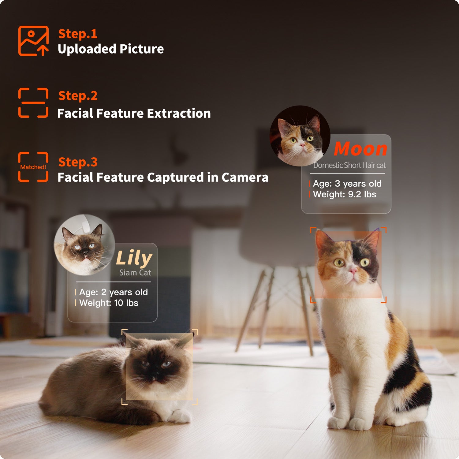 Purobot Ultra Automatic Cat Litter Box using AI facial recognition to identify each cat uniquely, ensuring accurate monitoring in multi-pet households