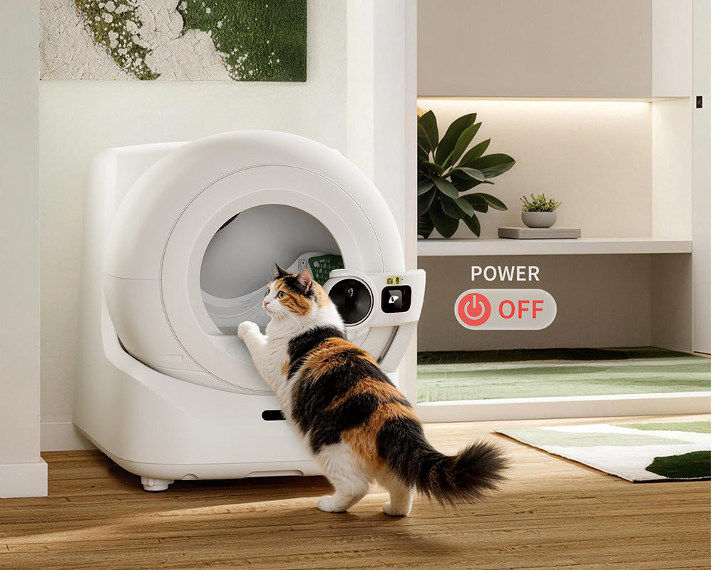 Start with the auto-clean feature turned off. Let your cat get comfortable before introducing any movement.