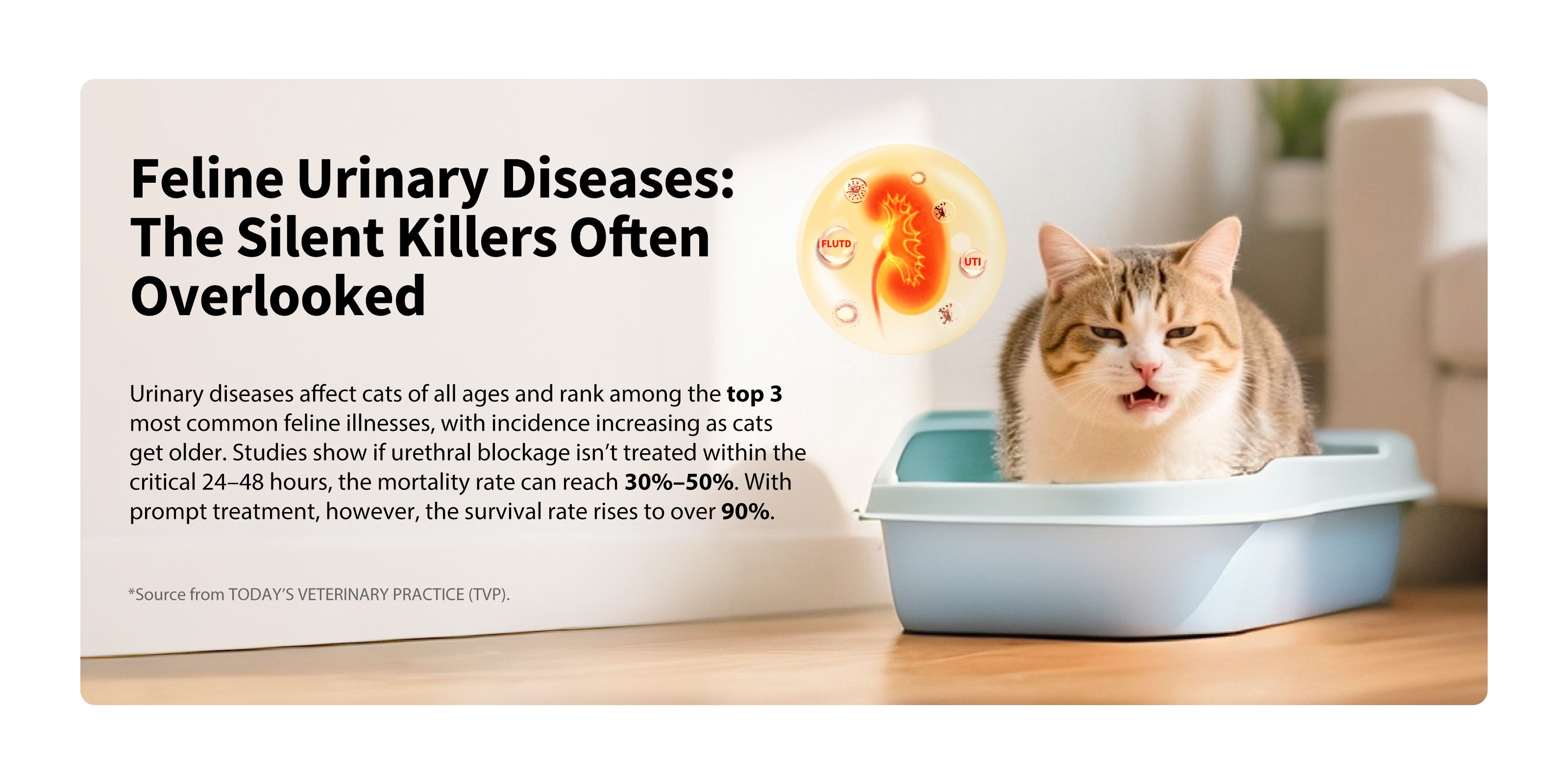 Urine Monitor Cat Litter helps highlight the high risk of feline urinary diseases by supporting earlier awareness during daily litter box use