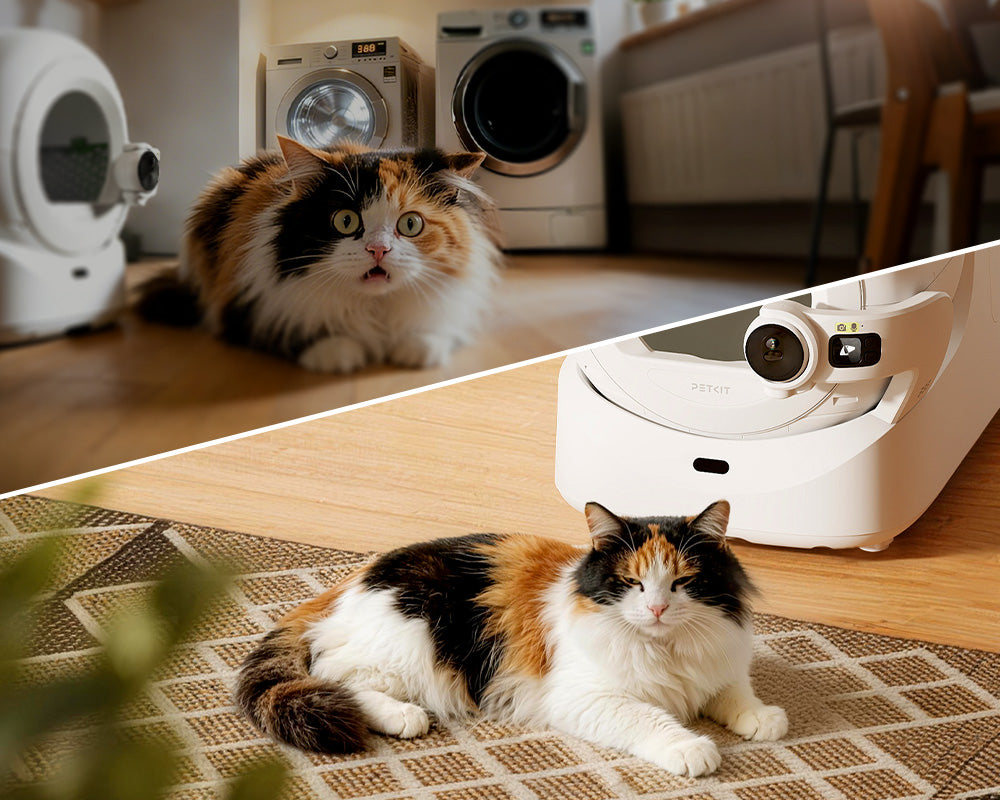 Keep the Purobot Ultra Automatic Litter Box clean to naturally guide your cat towards it and encourage her to use the new automatic system with comfort