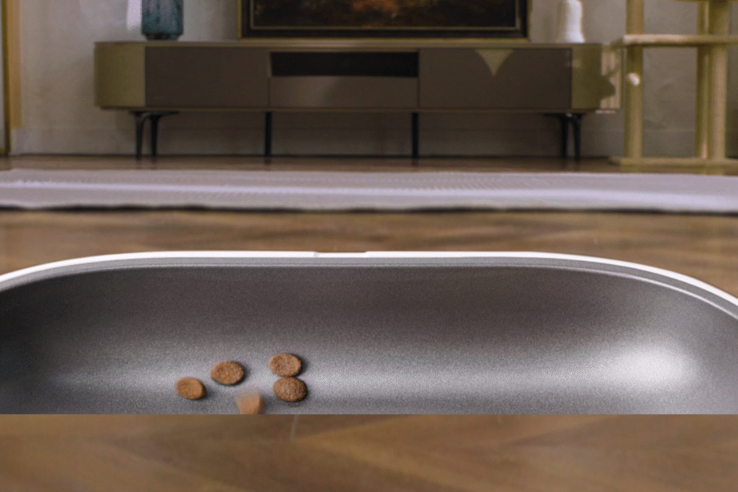 PETKIT YumShare Dual-hopper Automatic Cat Feeder with Camera showing feeding activity from camera perspective