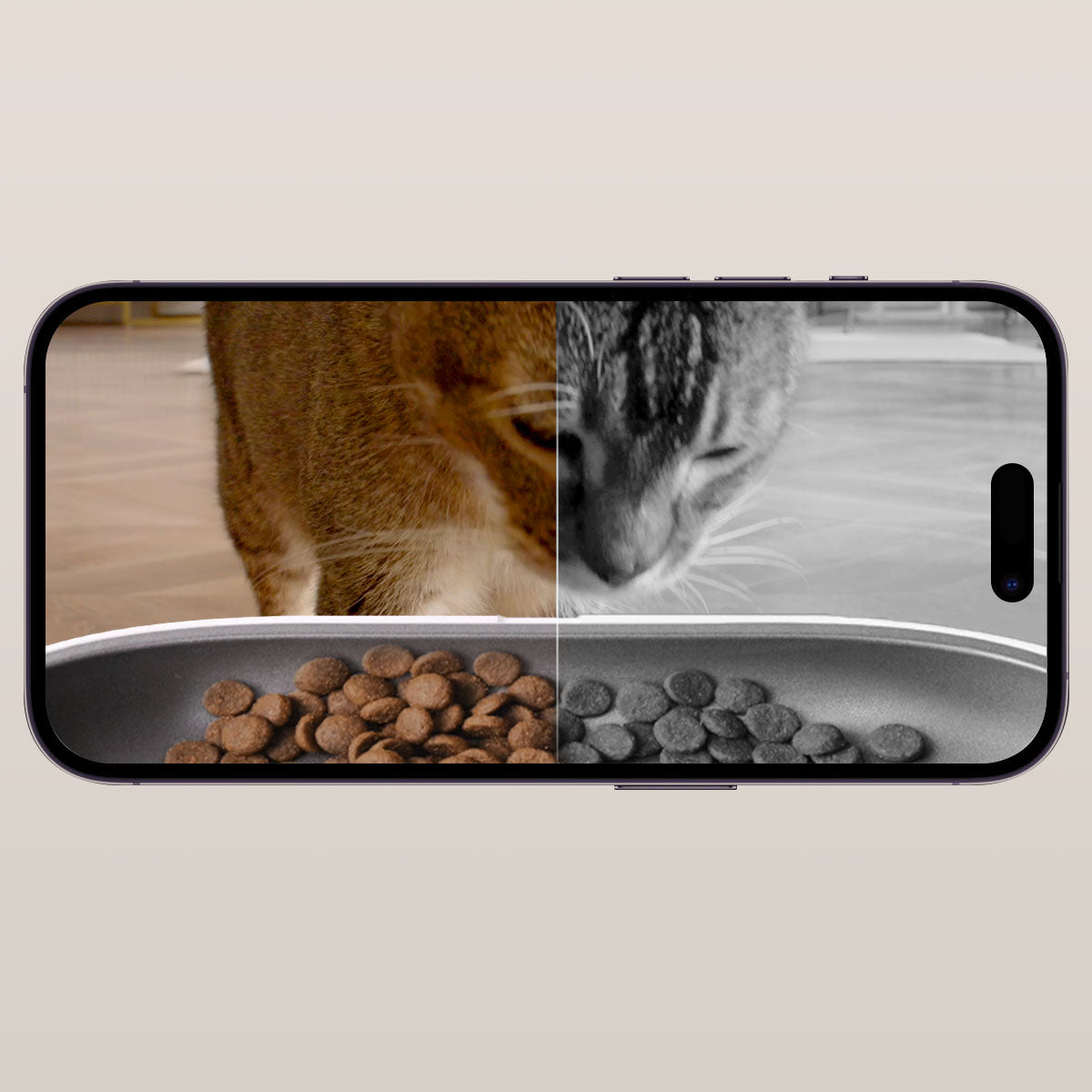 PETKIT YumShare Dual-hopper Automatic Cat Feeder with Camera infrared night vision capturing pets in low light