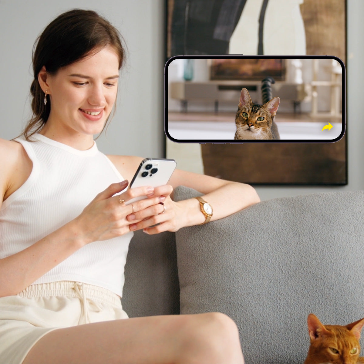 PETKIT YumShare Dual-hopper Automatic Cat Feeder with Camera automatically compiling pet Vlogs with background music