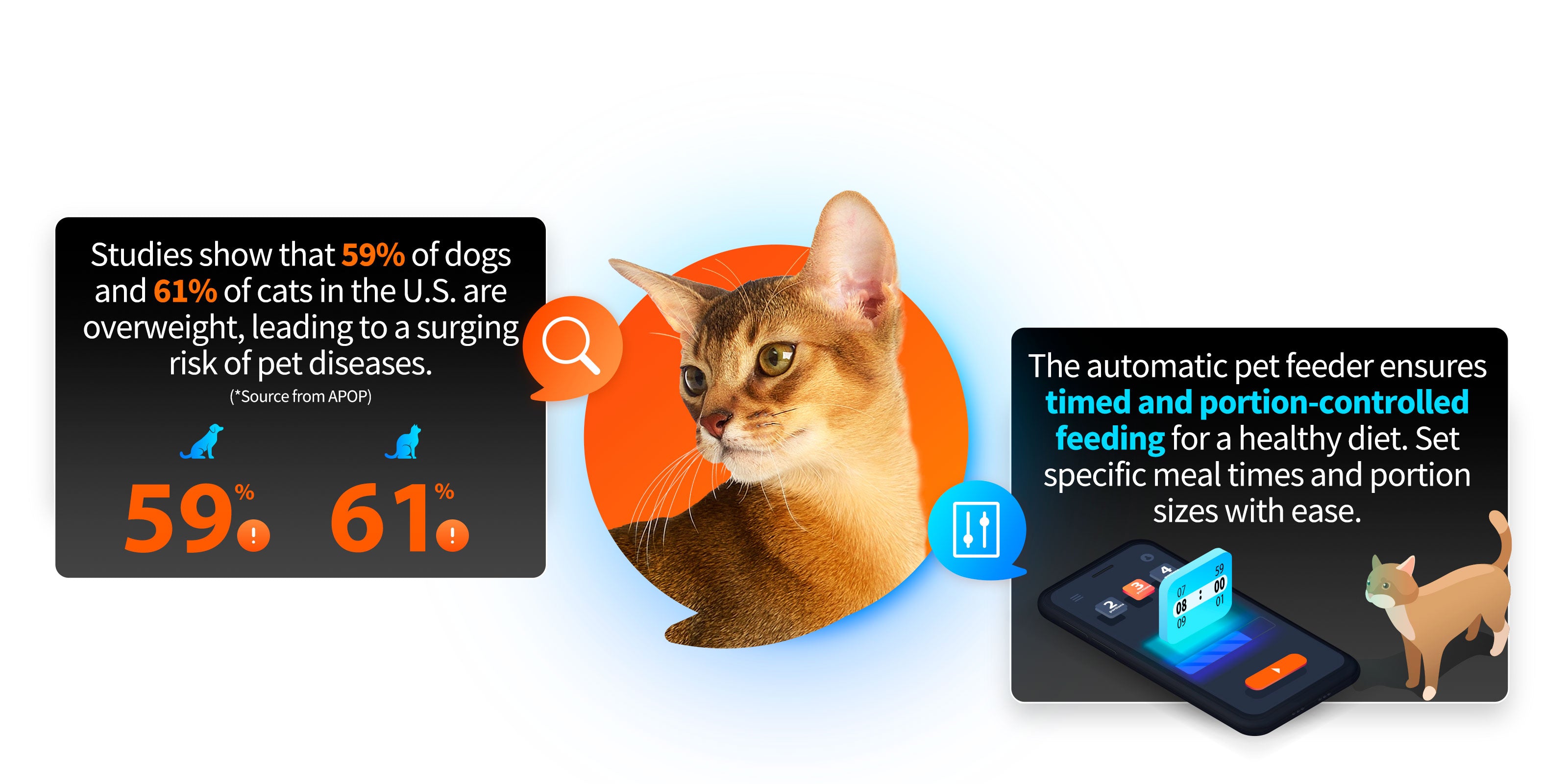 PETKIT YumShare Solo with camera automatic cat feeder ensures portion-controlled feeding for healthy diet, helping prevent pet obesity