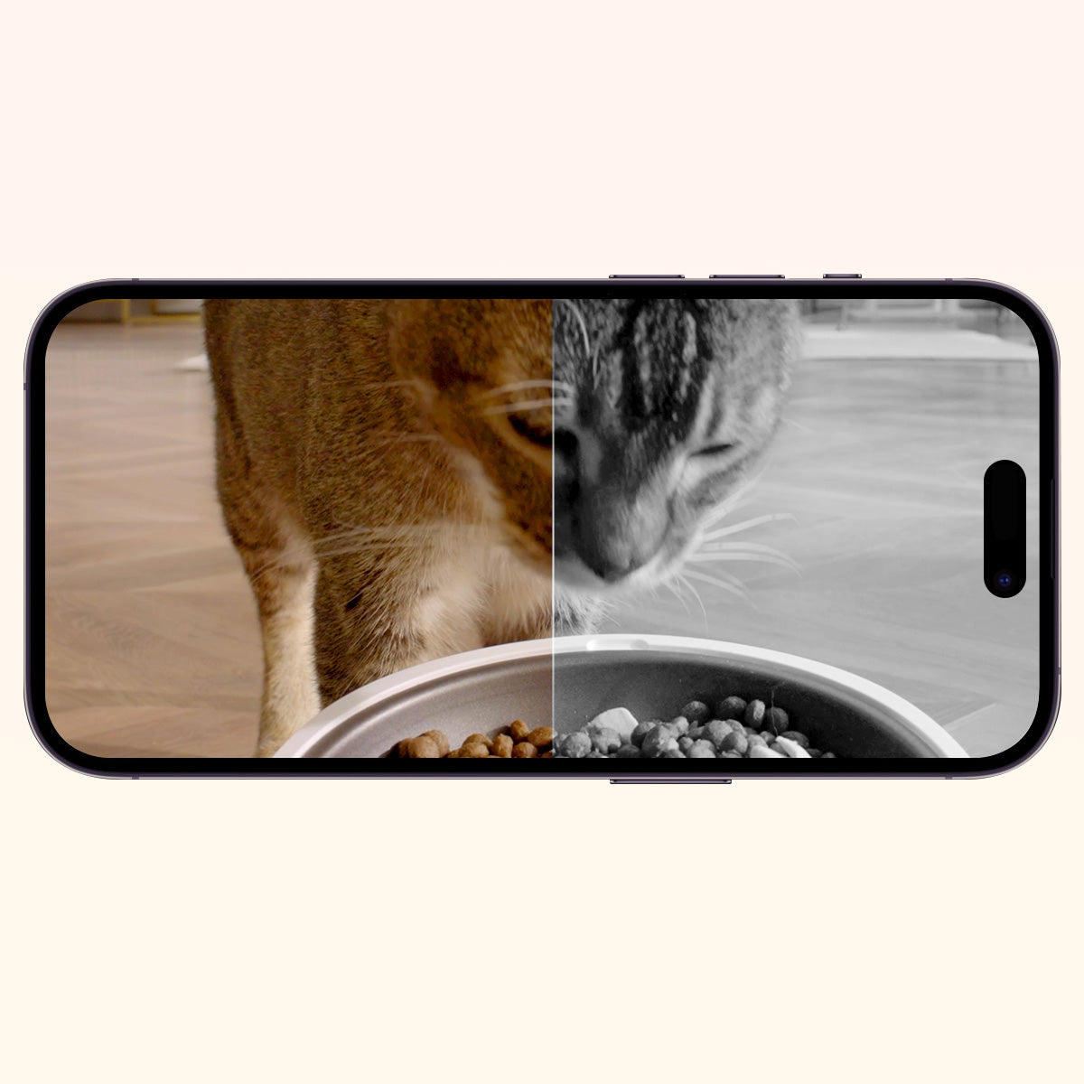 PETKIT YumShare Solo with camera automatic cat feeder built-in infrared night vision captures pet activity in low light with 940nm LED