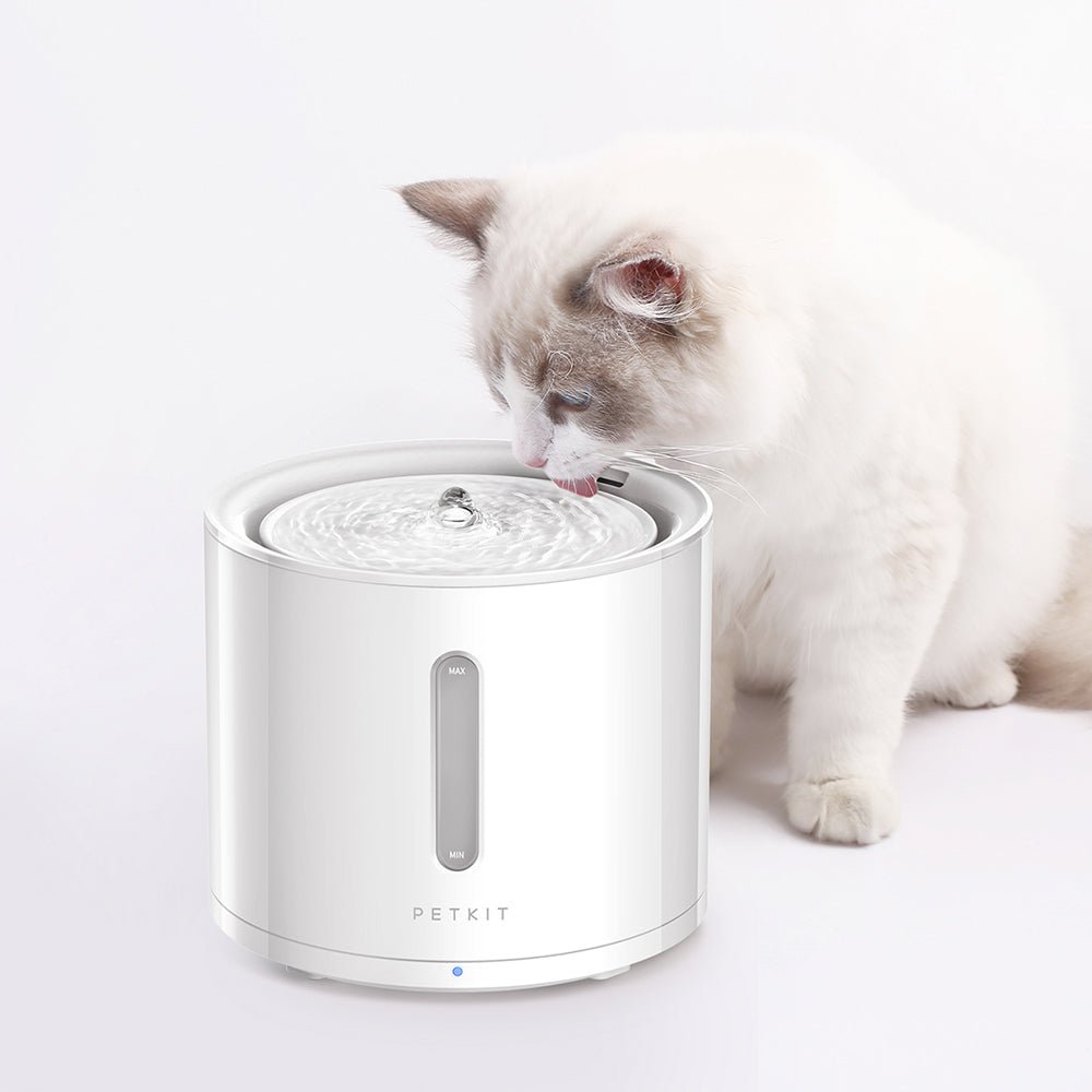Petkit | Self Cleaning, Extra Large, Odor free
