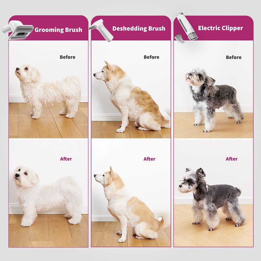 Dog Grooming Dogs With Hair Covering Eyes PETKIT FurWaker 5-in-1