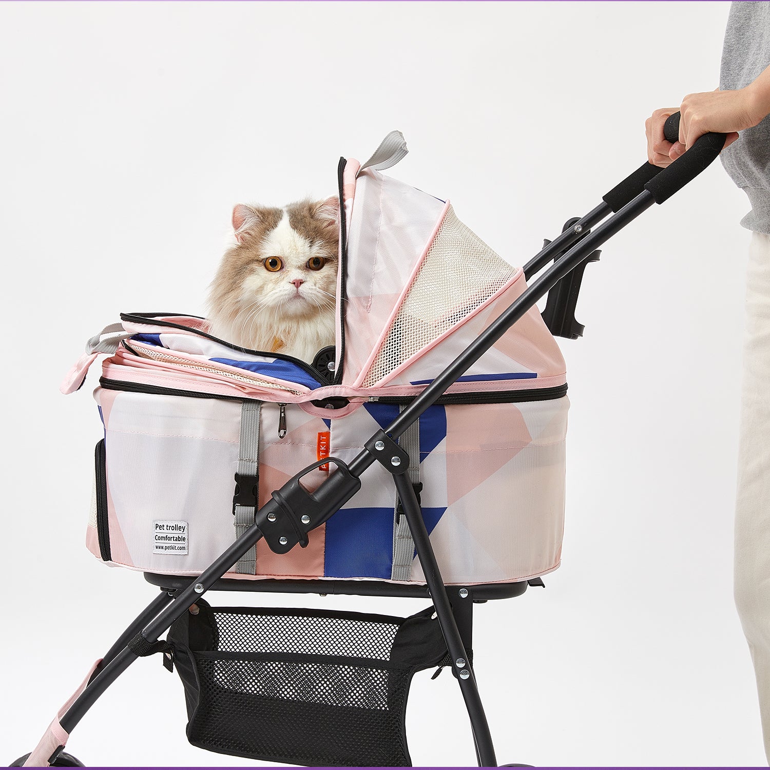 Bon Voyage Pet Stroller provides a smooth and secure outdoor walking experience for cats, allowing pets to relax while owners stroll comfortably