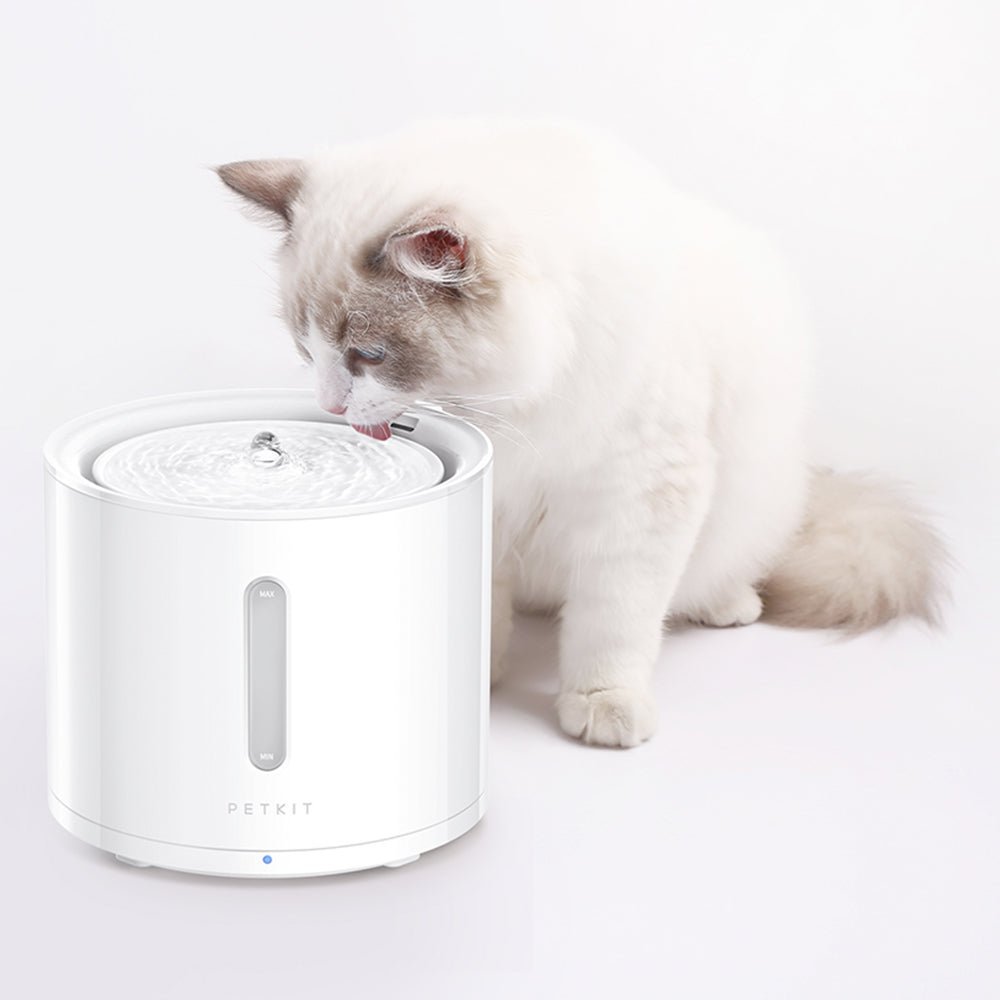 Cat drinking from an EverSweet Solo 2 Pet Water Fountain using Filter Unit 3.0