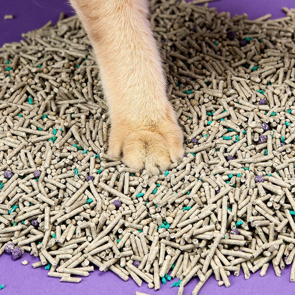 Flushable Clumping Cat Litters - 4 Bags PETKIT