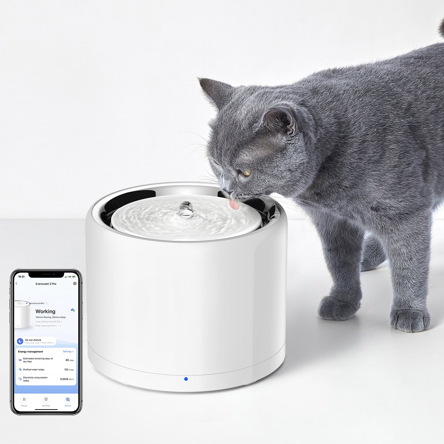 FurWaker Grooming Kit+EverSweet Fountain PETKIT