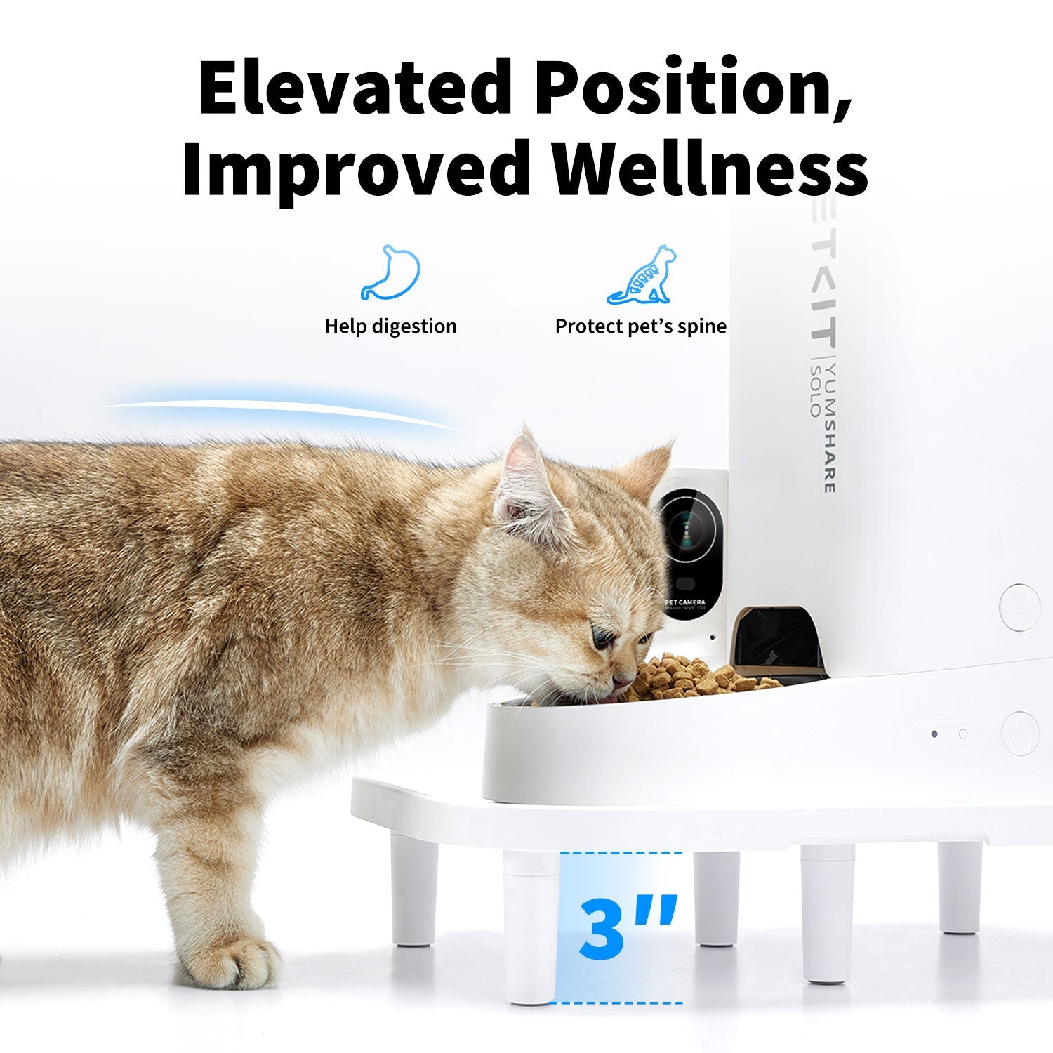 Cat eating from a PETKIT feeder elevated by the Raised Stand improves digestion and protects the spine