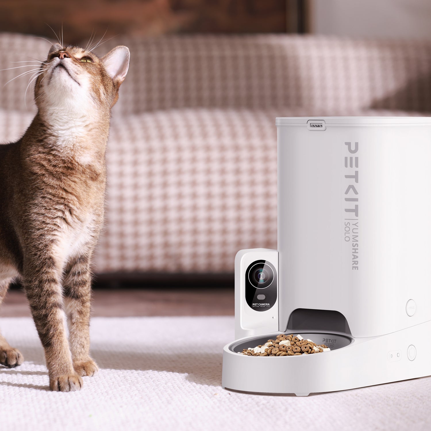 A cat sitting beside the PETKIT YumShare Solo with camera automatic cat feeder in a modern home setting, expressing trust and curiosity toward the device