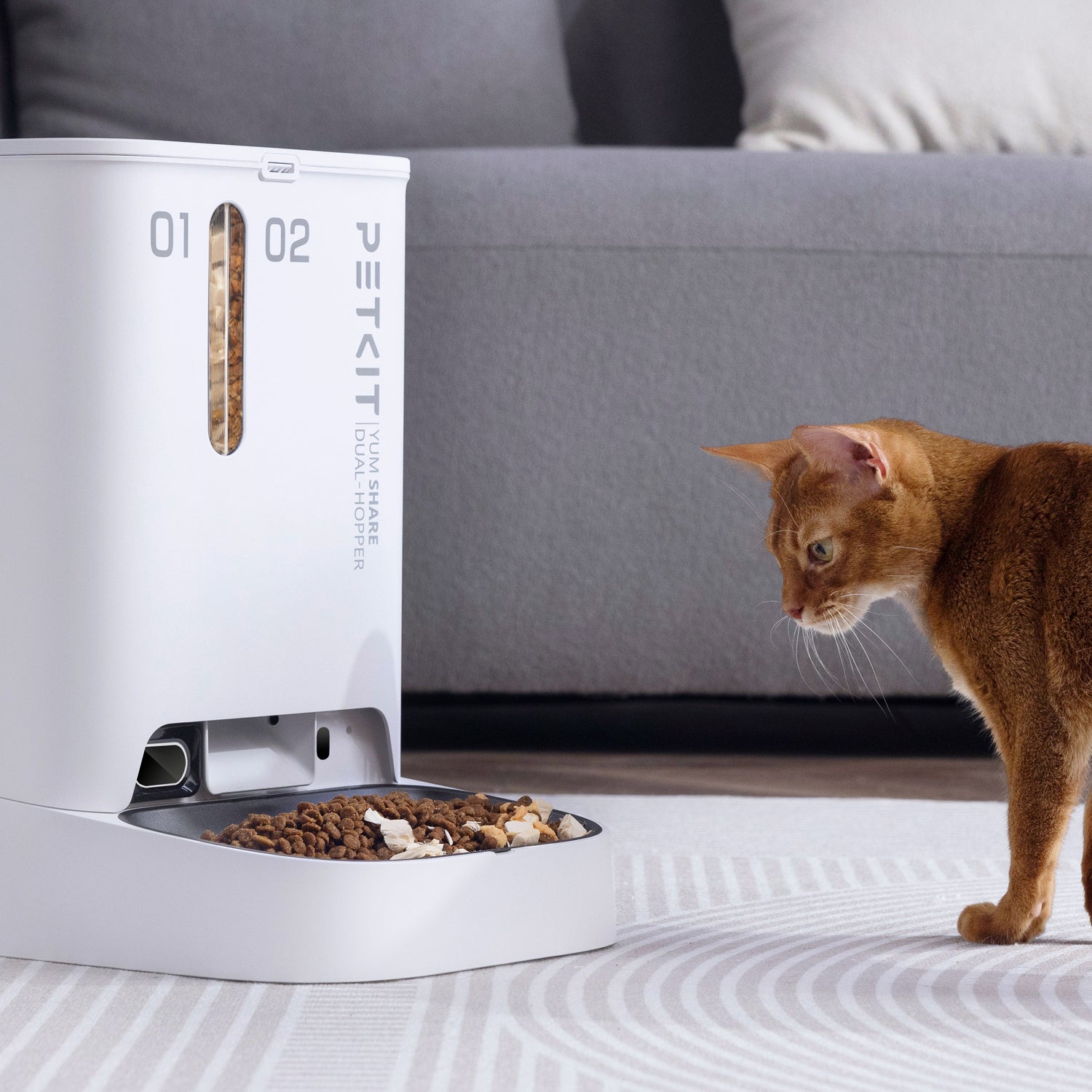 YumShare 5L Camera Pet Feeder, Smart Dual-hopper Cat Food 